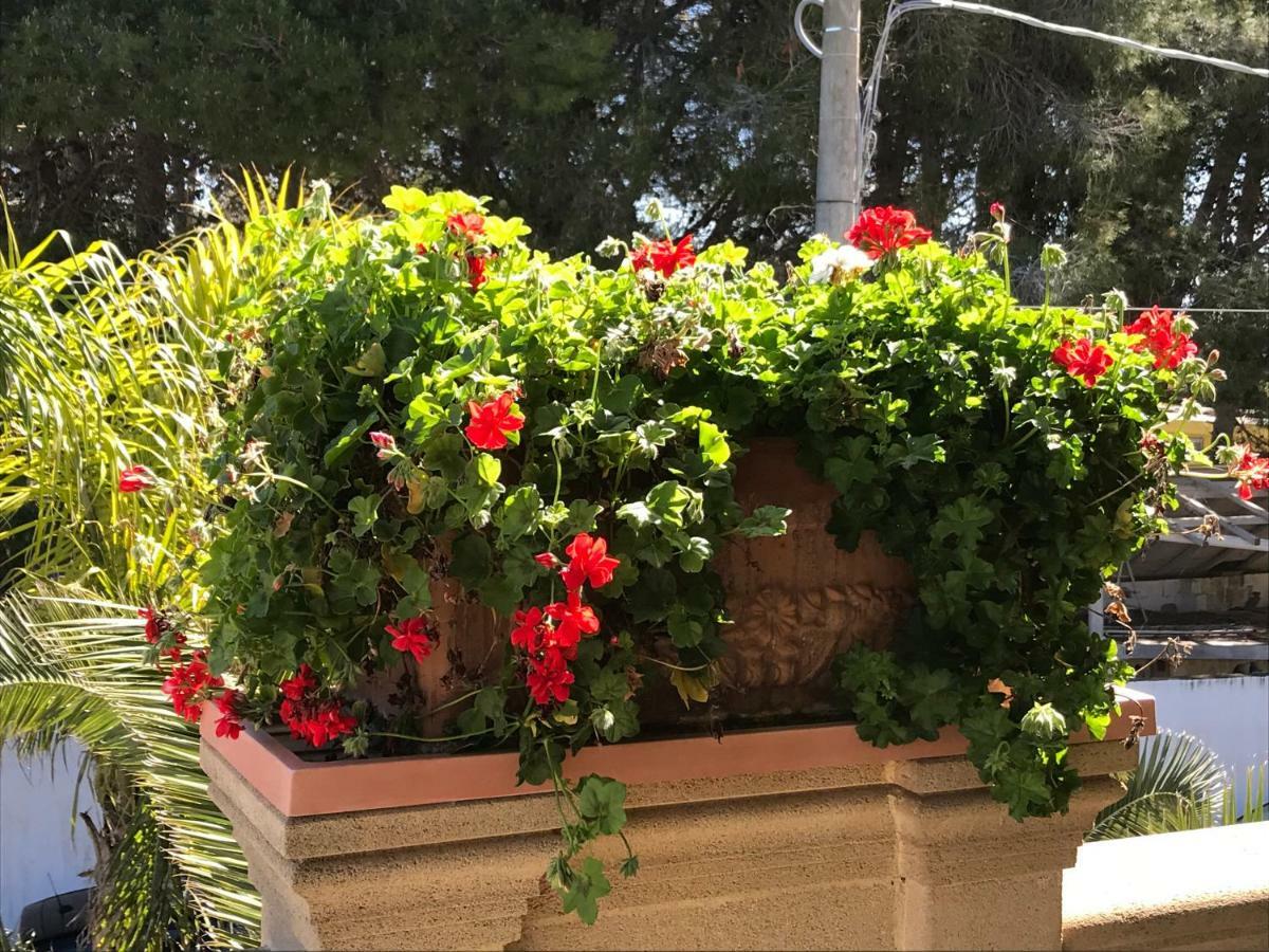Villa Relax Sul Mare Gallipoli Kültér fotó